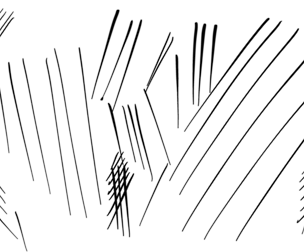 Fine Ink Brush
