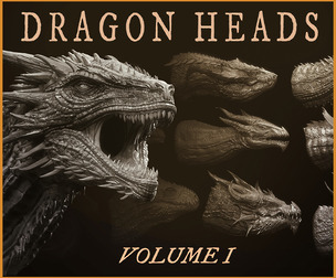 Dragon Heads Volume 1