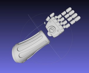 Fullmetal Alchemist Edward Arm Cover