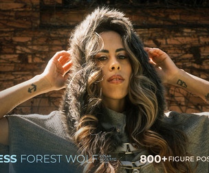 800+ Female Figure Poses - Jess Forest Wolf