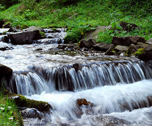 Gurgling Stream