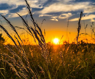 Sounds of Summer