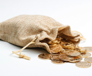 Bag Coins