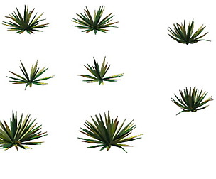 Game Model - prairie scene - Desert Plants 01