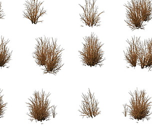 Game Model - prairie scene - Desert Plants 04 01