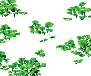 Game Model - prairie scene - Grass 01 01