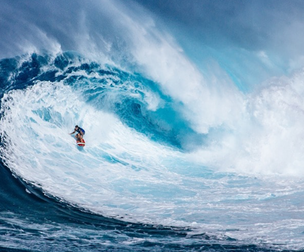 Sea Surf