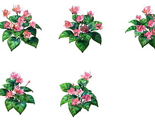 ame Model - prairie scene - long flower plants 01