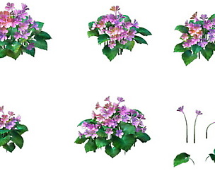 Model - prairie scene - long flower plants 02 01