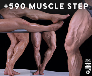 +590 Muscle Step Reference Pictures – Vol 08 | 360° Shots