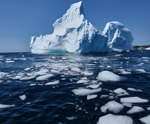 Iceberg