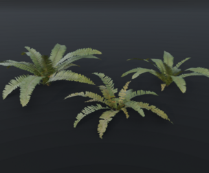 A realistic 3D fern