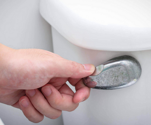 Flushing the Toilet