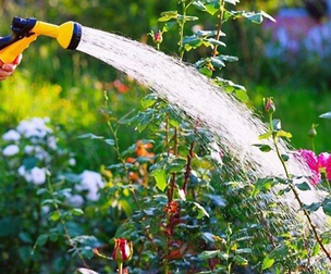 Garden Hose