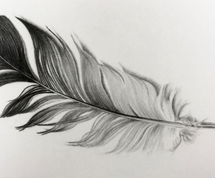 Feather