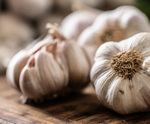 Garlic