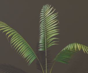 A compact and realistic small palm bush