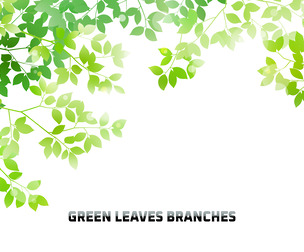 Green Leaves Branches, Eco Frame, Floating Foliage, Nature, EPS File