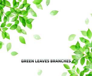 Green Leaves Branches, Eco Frame, Floating Foliage, Nature, EPS File