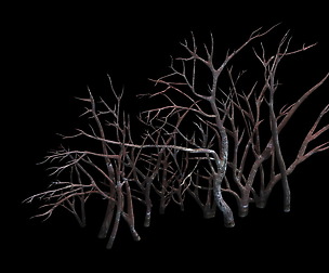Game Model - snow - vegetation 01
