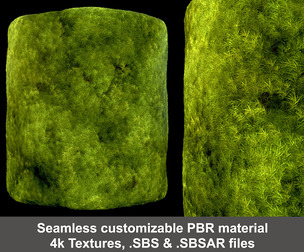 Broom Fork Moss Sparse Version Substance Material
