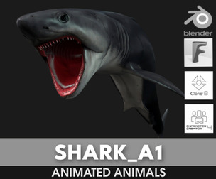 Shark_A1