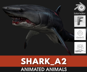 Shark_A2