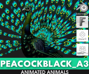Peacock Black_A3