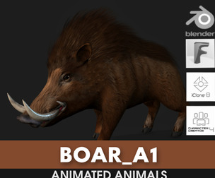 Boar_A1