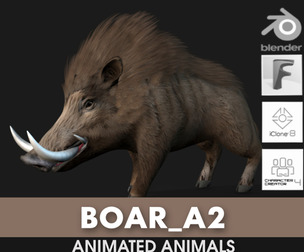 Boar_A2