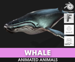 Whale