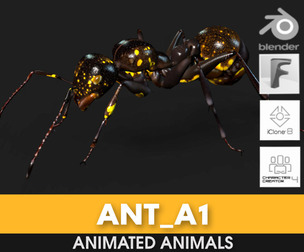 Ant_A1