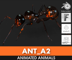 Ant_A2