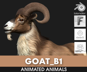 Goat_B1