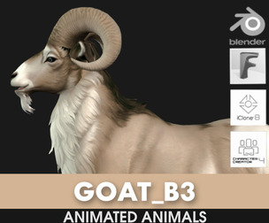 Goat_B3