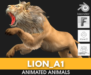 Lion_A1