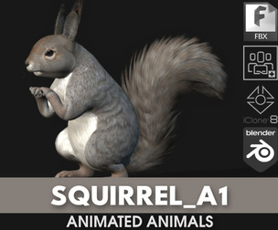 Squirrel_A1