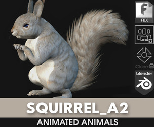 Squirrel_A2