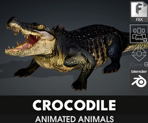 Crocodile