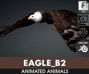 Eagle_B2