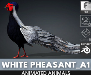 White Pheasant_A1