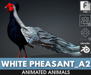 White Pheasant_A2