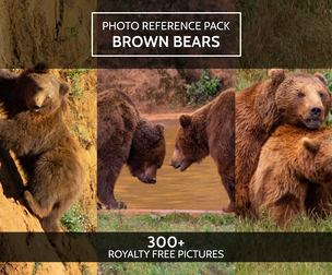 Reference pack: Brown bears