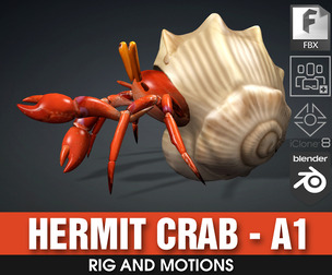 Hermit Crab_A1