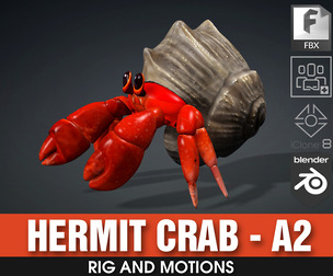 Hermit Crab_A2