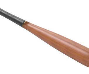 Baseball bat collection
