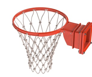 Basketball Net