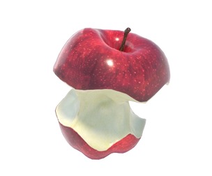 Apple Bitten