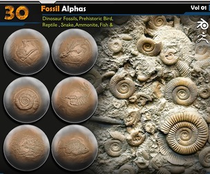 Fossil Alphas | Vol.01