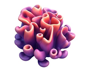 Coral reef 04